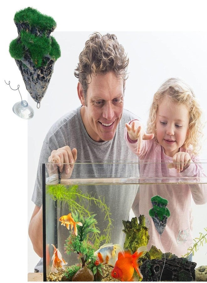 VAYINATO® Artificial Submersible Rock Ornament for Aquarium Decoration | Resin Natural Hillside Landscape Avatar Mystery Scenery Fish Tank Decoration Ideas for Aquarium Accessories - Image 1